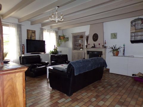 photo no. 10
