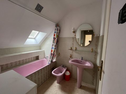 photo no. 7