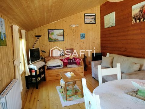 photo no. 10