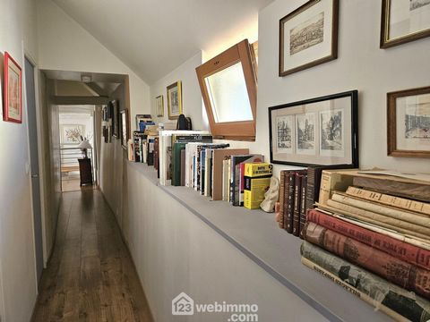 photo no. 11