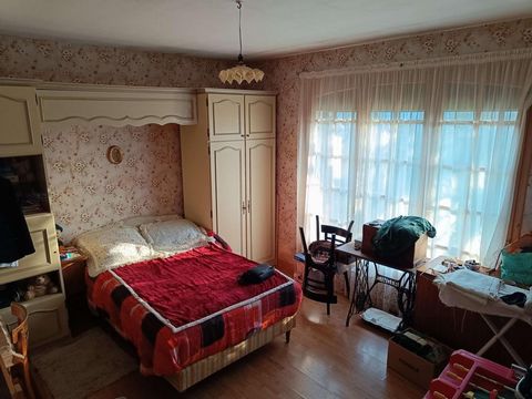 photo no. 5