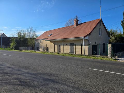 photo no. 4