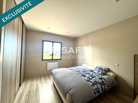 photo no. 11