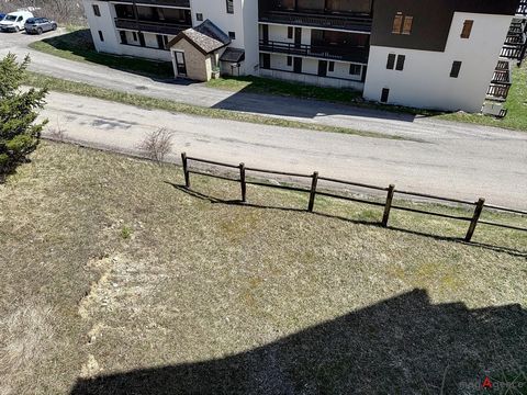 photo no. 6