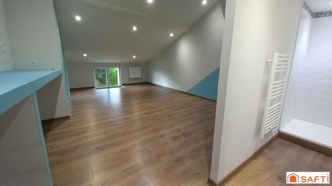 photo no. 11