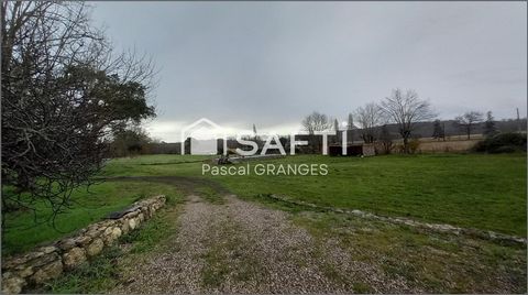 photo no. 16