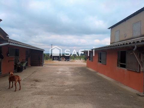 photo no. 13