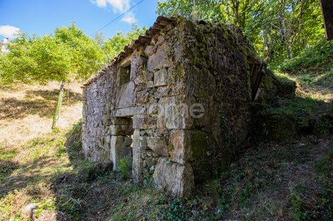 Property ID: ZMPT540422 Rustic land in Ferral, Montalegre, with 230m2. It is located a few meters from the Ponte da Misarela (mythical place), a few minutes from the 7 Lagoons, the Tahiti Waterfall, place with several hiking trails and many other poi...