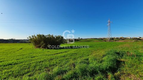 ARDEA CASTAGNETTA In Via Laurentina, on the main artery of the town, we offer the sale of an agricultural land of 71,350 square meters with the possibility of purchasing additional square footage up to a maximum of 140,234 square meters. The property...