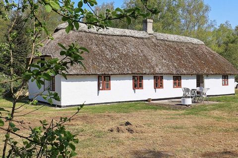 Reetgedecktes Bauernhaus mit schöner Lage auf Læsø. Fahren Sie die gemütliche Auffahrt entlang des Birkenwaldes hinauf, wo Sie dieses traditionelle Bauernhaus mit Reetdach, auf einem fantastischen, 10.500 m2 großen Grundstück mit Birkenwald und Rasen...