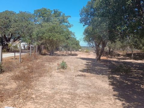 Situated within a quiet area offering great potential for rural tourism as well as agricultural projects. The first rustic area is surrounded by cork trees from which the cork is removed. It is presently being used for grazing and therefore the soil ...