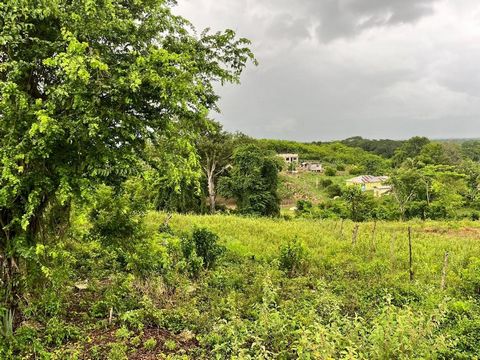 This house lot awaits you! Quiet community with easy access, just off the main road between Lacovia and Maggotty. With a gentle slope and a view of the hills, this lot is located minutes away from major towns - this is perfect for your new St Bess ho...
