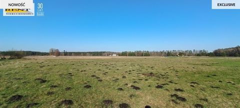 Agricultural land for sale in Cisewo. It is possible to obtain development conditions for the habitat. The offered property consists of two plots (8,527 m2 and 12,988 m2) with a total area of 21,515 m2 Cisewo 16 km to Szczecin, 10 km to Stargard, 5 k...