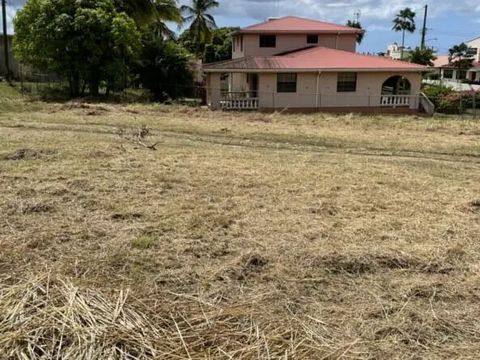 A great residential lot for sale in the attractive Rowans, St George, neighbourhood. Attractive homes built on the south and west side of No 153 and well maintained green space of Francia Plantation on the north side. Perfect for a family home in an ...
