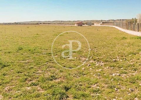 4Ha LAND WITH APPROVED RIDING PROJECT aProperties Real Estate presents land of 4Ha (39,899 m²), completely flat, with electricity and legal well water. The land belongs to the municipality of Valdetorres del Jarama, and is located less than 2 km away...