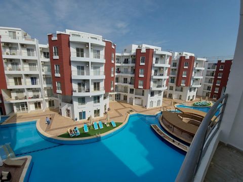Panoramica della proprietà: appartamento con 1 camera da letto completamente arredato, perfettamente situato in un prestigioso complesso a Hurghada Spaziosa reception con balcone a bordo piscina: rilassatevi con la vista della piscina scintillante da...