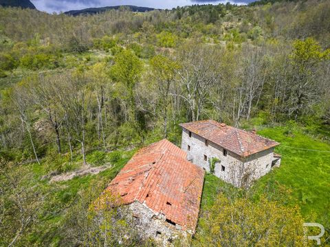 In vendita una proprietà che farà la gioia degli amanti dello stile rustico e degli artisti in particolare. Il rustico è idillicamente immerso nel pittoresco paesaggio del piccolo Borgo 