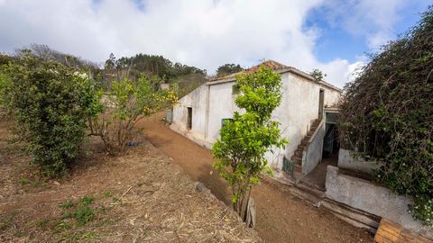 The property is located in the charming area of La Esperanza in the municipality of El Rosario, in Santa Cruz de Tenerife, known for its pleasant climate and beautiful landscapes. The totally urban rectangular plot with a total area of 2.586,00 m2 ha...