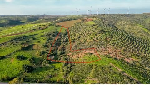 Deal Homes presents, Rustic land with 17320m2, located in the Guadalupe area, near the village of Raposeira. Composed of vegetation and trees, it has flatter areas and others with some decline. Located a short drive from the beaches of Ingrina and Za...
