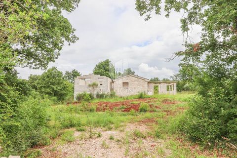 Location: Istarska županija, Rovinj, Rovinj. Istria, Rovigno, Dintorni Vendiamo una casa immersa nel verde dei dintorni di Rovigno. La casa è isolata ed è circondata da una bellissima foresta. La proprietà, che si estende su una superficie di 3132 m²...