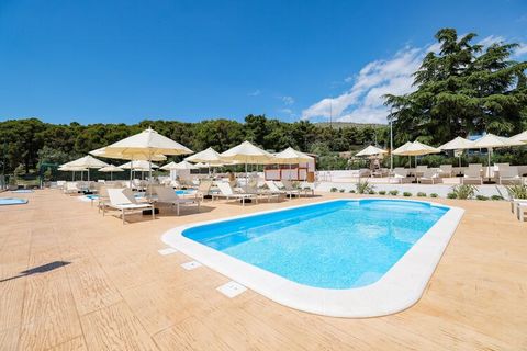 The Medena resort is located about a kilometer outside the fishing village of Seget, in the middle of a shady pine forest. The fully renovated apartments are located in terraced houses, all have a terrace or balcony and air conditioning if it gets to...