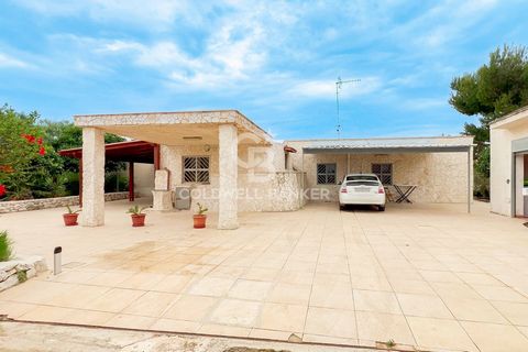 A pochi passi dalla riserva naturale di Torre Guaceto e dalla spiaggia di Specchiolla, proponiamo in vendita, villa composta da trullo saraceno e abitazione principale, garage, dependance e un ampio piazzale con giardino che circonda la proprietà. At...