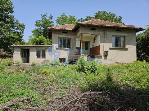 Video der Immobilie! Top Estate Real Estate bietet Ihnen ein einstöckiges Massivhaus mit einer Platte und einem großen Hof im Dorf Hadzhidimitrovo, Gemeinde Svishtov, Region Veliko Tarnovo. Das Haus befindet sich auf einer Etage aus Ziegeln mit Stahl...