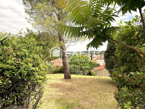 photo no. 10