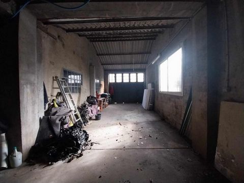 photo no. 5