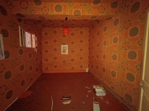 photo no. 8