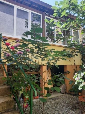 photo no. 15