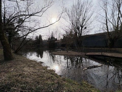 photo no. 8
