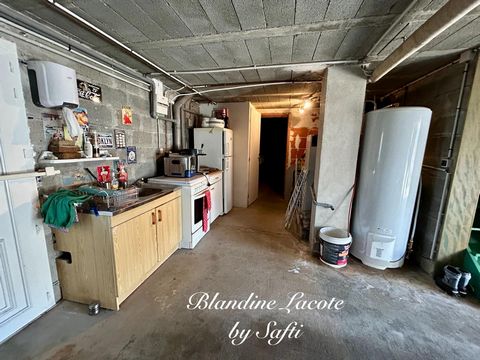 photo no. 12