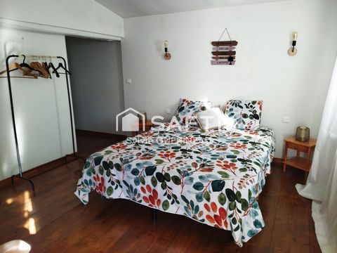 photo no. 17
