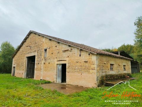 photo no. 14