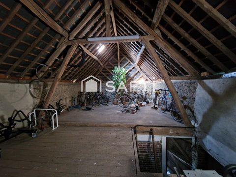 photo no. 19