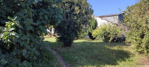 photo no. 6