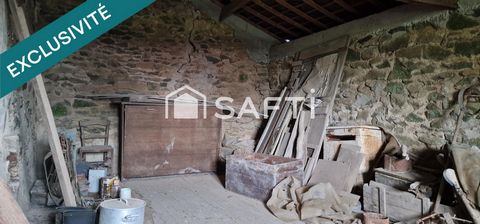 photo no. 19