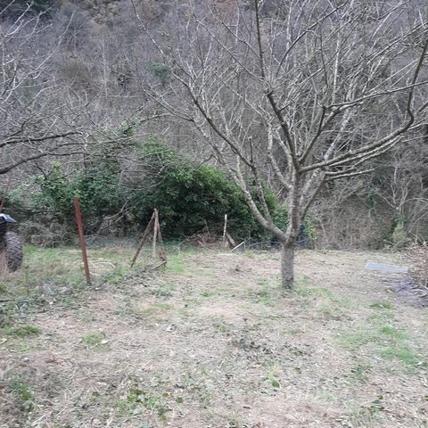 photo no. 10