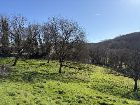 photo no. 19