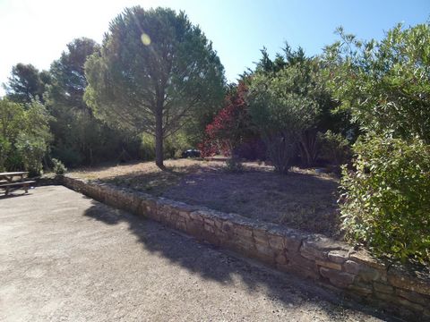 photo no. 1