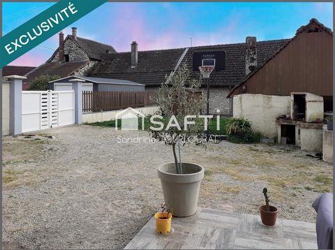 photo no. 8