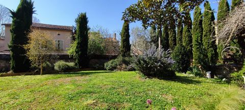photo no. 2