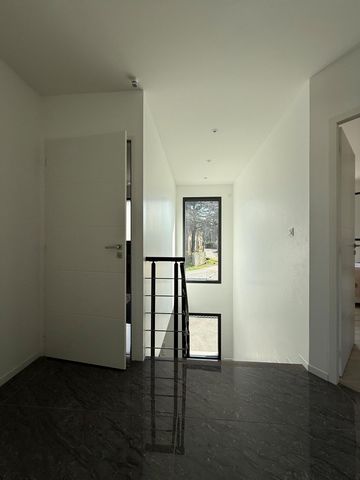 photo no. 5