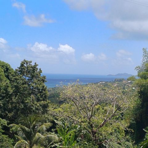 photo no. 9