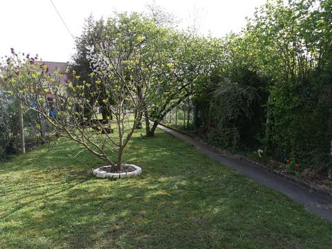 photo no. 1