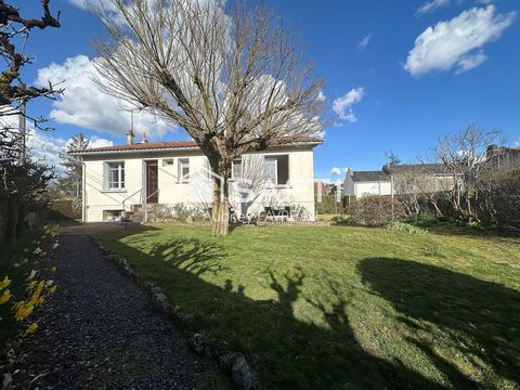 photo no. 10