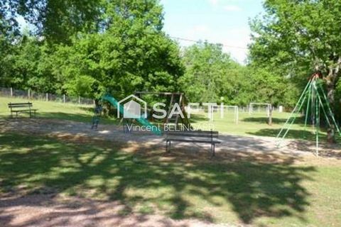 photo no. 11