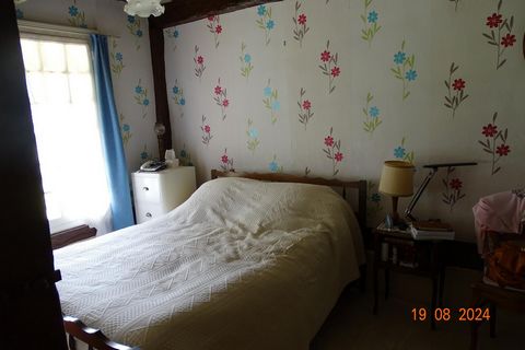 photo no. 6