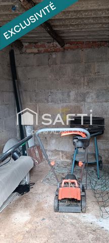 photo no. 5